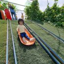 금호1농장 이미지