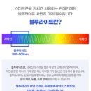 다비치여의반월점 이미지