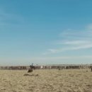 경상목장 이미지