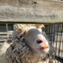 보령 나들이 2코스 이미지