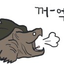 마린푸드 이미지