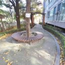 진잠올레공인중개사사무소 이미지