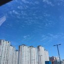 인지 세차장 이미지