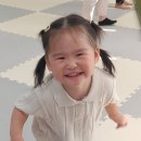 천전동9 Daum카페