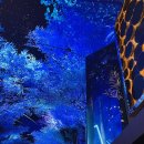 세탁쇼인천시어터점 | 인천, 여름 겨울에 가볼 만한 곳 추천 - 인스파이어 리조트에서 나들이 데이트 ( 미디어아트 목적 )