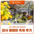 계룡산갑사황금산장 | 공주 갑사 황매화 축제 후기, 지금 가장 아름다웠던 봄날의 풍경