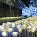 단양군시티투어 이미지