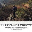 산전리 | 대구 상원산~동학산-260618
