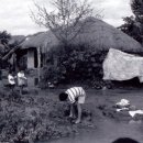 대전 1964 대전일보