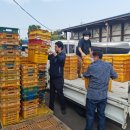 성산일출봉농업협동조합 농산물산지유통센터 이미지