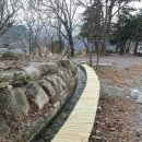 의풍분교온달캠핑장 이미지