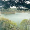 양지공원가든 이미지