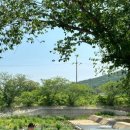 양포한방백숙 이미지