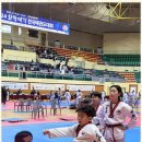 기품태권도 이미지