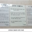 금강호 민물장어 이미지