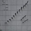 성당네거리 | 서울 천주교 성지 서소문 밖 네거리 순교성지