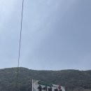 송이네밥상 이미지