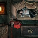 씨네호텔 이미지