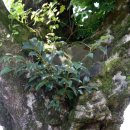 백곡리마을 이미지