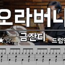 bpm 138 오라버니 - 금잔디 이미지