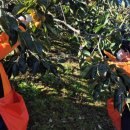 안병석농장 이미지