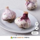 오직건강마늘