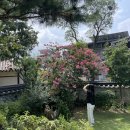 구담정사 | 안동 숙소 추천, '구담정사' 감성적인 고택에서 고즈넉한 일상 보내기(경덕 룸 후기)