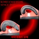 여주-0404 티스토리