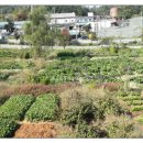 옥길농장 이미지