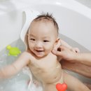 주식회사 엘드 | 아기비데시트 :: 마더스로렐라이 아기비데