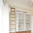 예산 동물병원 이미지