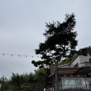 스테이샬롬 이미지