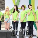 헬로비너스 카카오 검색결과