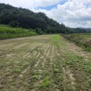 비석농장 이미지