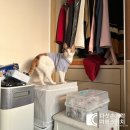 수유리우동 풍산점 | 한국으로 귀국 후 2월 첫째주까지의 숨가쁜 일상