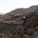 비봉농원 이미지