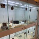 달펫 소동물샵 이미지