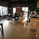 개버랜드 이미지