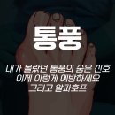 5060 남성생활요리(야간) | 🍀내가 몰랐던 통풍의 숨은 신호 이렇게 예방하세요 그리고 알파호프