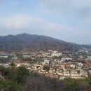 서울동동주 이미지