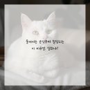 찬스플란트치과의원 이미지