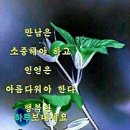 8월17일 화요일 헤드라인 뉴스 이미지