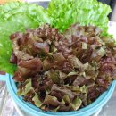 (주)늘품 이미지