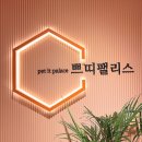 쁘띠팰리스 신중동점