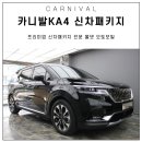 모빌랜드세차장 | 장판까지 작업끝낸 카니발 KA4 신차패키지