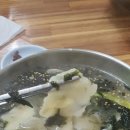 물치손칼국수