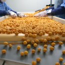 중앙땅콩 이미지