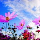 대전경찰청어린이집 이미지