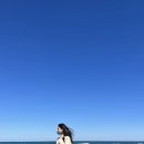 아라파파 이미지