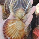 1번지해물찜 이미지